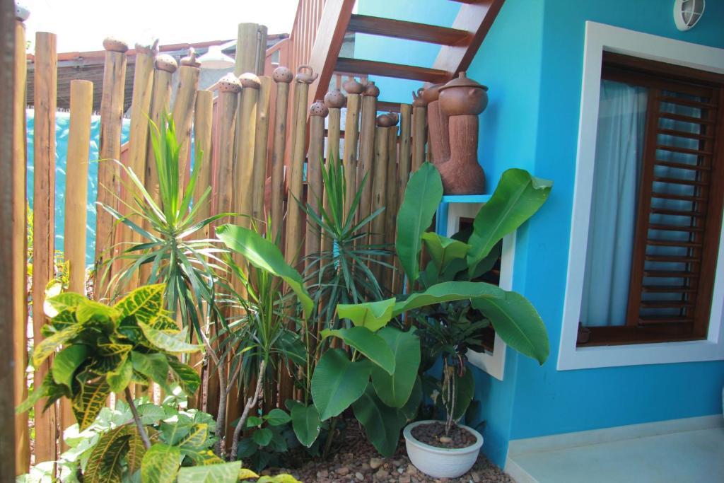 Casa Azul Villa Praia de Pipa Exterior foto